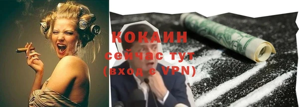стаф Вяземский