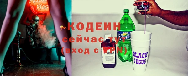 стаф Вяземский