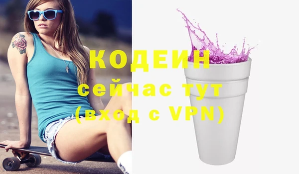 стаф Вяземский