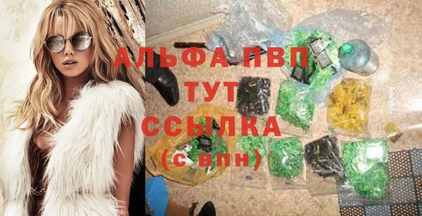 стаф Вяземский