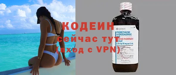 стаф Вяземский