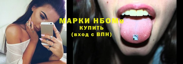 стаф Вяземский