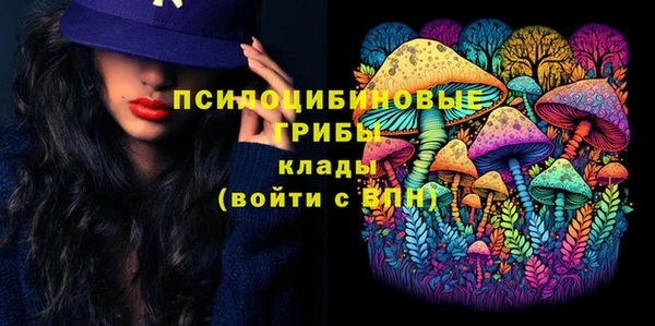 стаф Вяземский