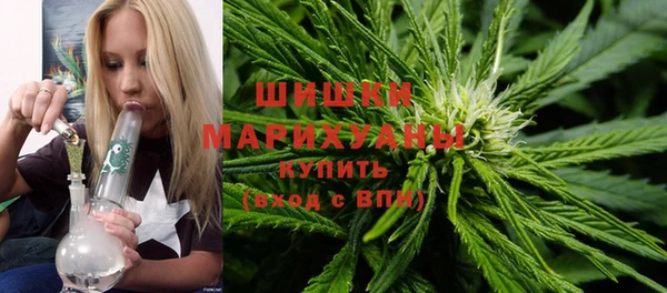 стаф Вяземский