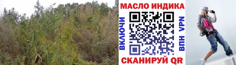 наркота  Нижневартовск  Дистиллят ТГК THC oil 